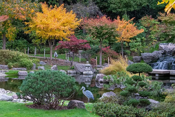 Kyoto Garden, Holland Park