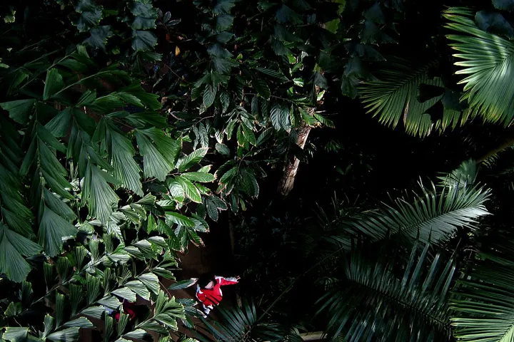 Kew Gardens