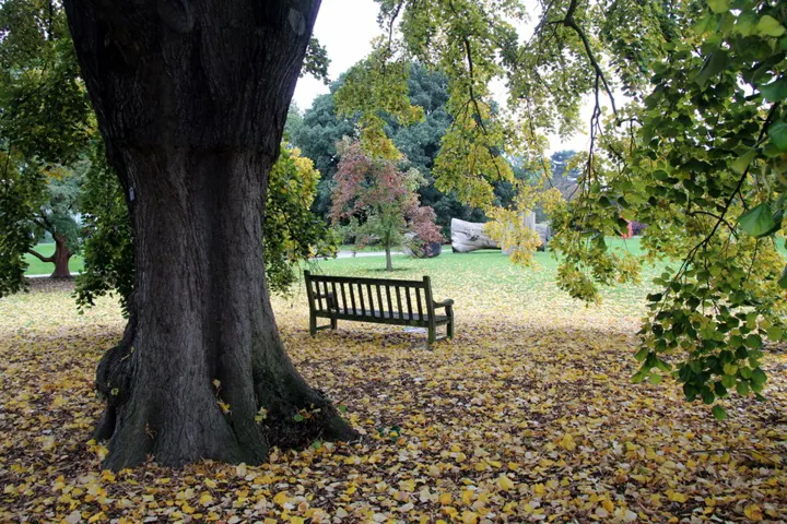 Kew Gardens