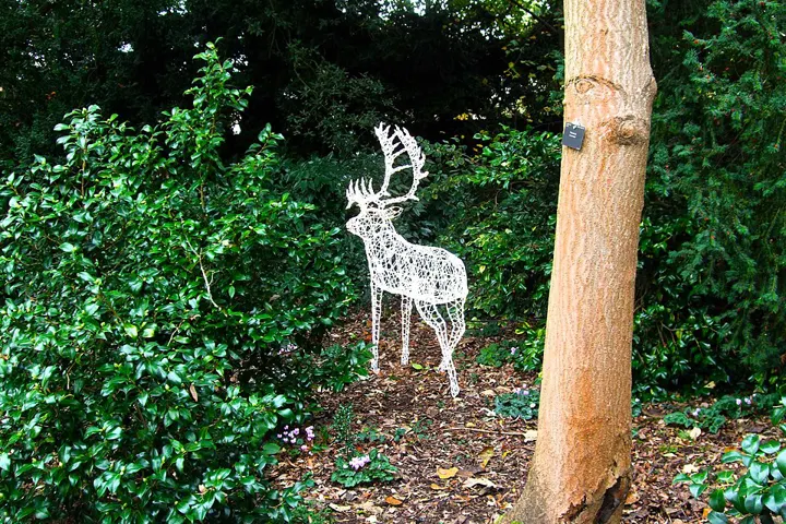 Kew Gardens