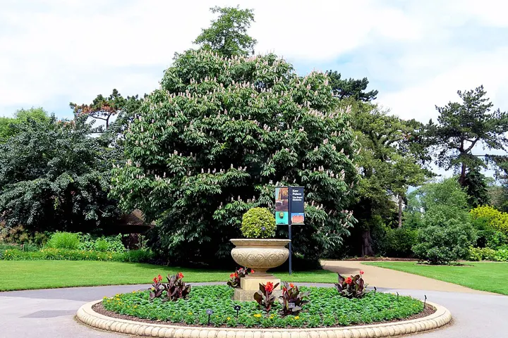 Kew Gardens