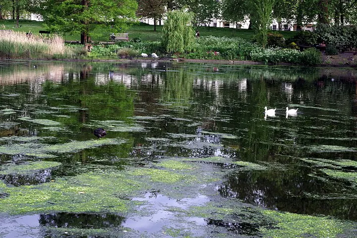 St James's Park