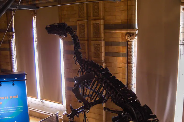Natural History Museum