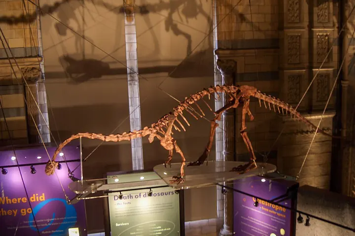 Natural History Museum