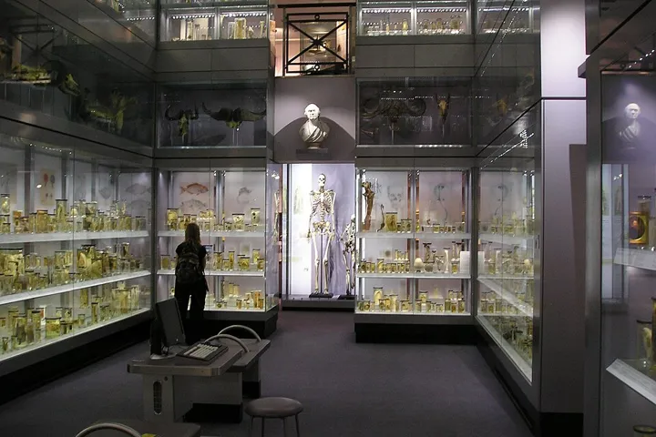 Hunterian Museum
