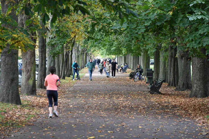 Greenwich Park, Aussicht beim Observatorium